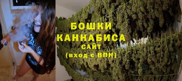 гидра Аркадак