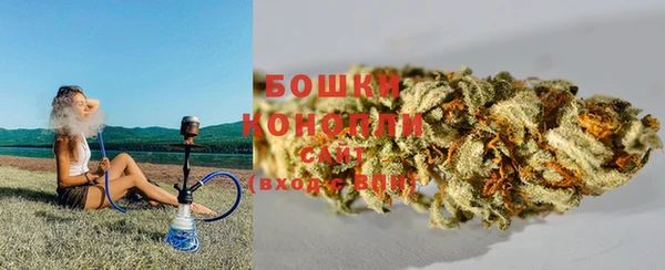 гидра Аркадак
