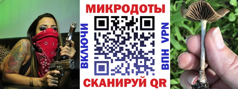 Галлюциногенные грибы GOLDEN TEACHER  где можно купить   omg зеркало  Рыльск 