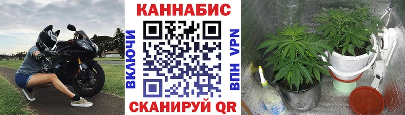 маркетплейс официальный сайт  Рыльск  Шишки марихуана AK-47 